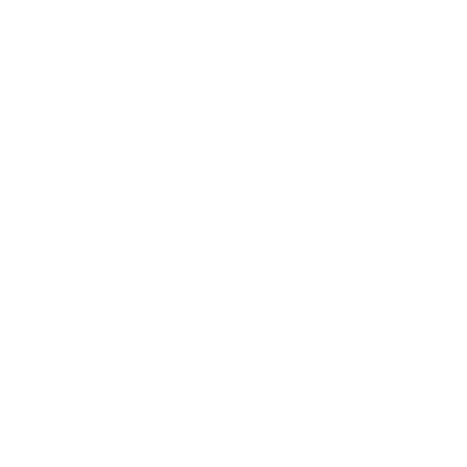 Image Icon