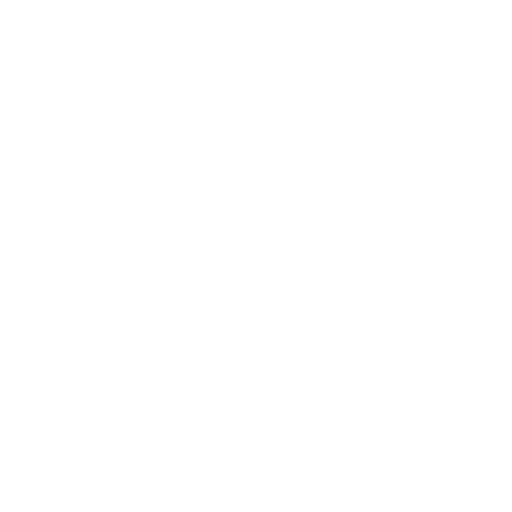 Image Icon